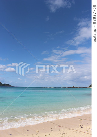 奄美大島 98937759