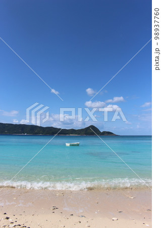 奄美大島 98937760