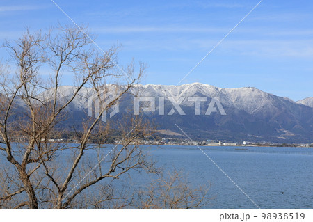 琵琶湖岸の冬景色 98938519