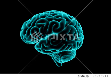 3d illustration of human brain x-rayのイラスト素材 [98938911] - PIXTA