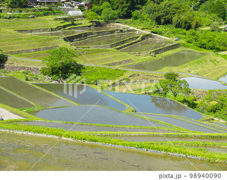 坂折棚田　岐阜県恵那市　5月 98940090