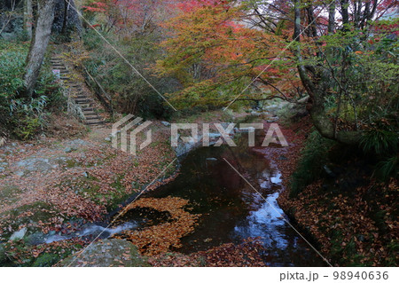 紅葉の古岩屋 98940636