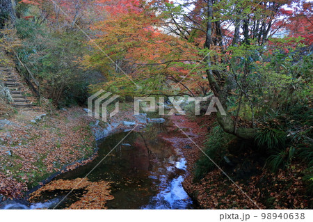 紅葉の古岩屋 98940638