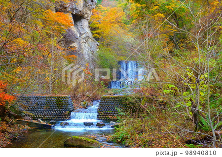 面白山紅葉川渓谷 紅葉 黄葉 面白山紅葉川渓谷 紅葉 黄葉 98940810