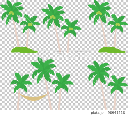 棕櫚樹 98941218