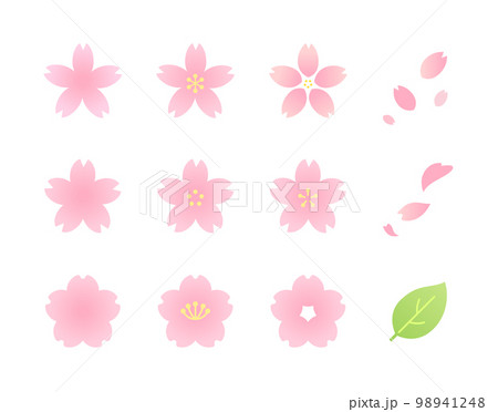 色々な形の桜の花のイラストセット(カラー) 色々な形の桜の花のイラストセット(カラー) 98941248