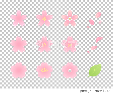 Illustration set of cherry blossoms of various shapes (color) Illustration set of cherry blossoms of various shapes (color) 98941248