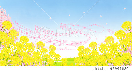 菜の花畑と桜並木　背景素材 98941680