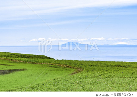 北海道 温根沼大橋から根室半島を行く 98941757