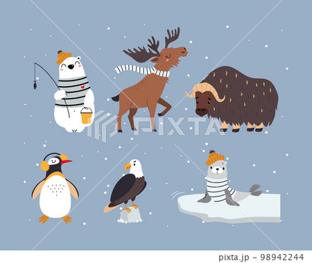 Cute Arctic Animal from Northern Pole Vector Set 98942244