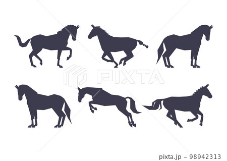 Black Silhouettes of Running Horses for Equestrian Sport Vector Set Black Silhouettes of Running Horses for Equestrian Sport Vector Set 98942313