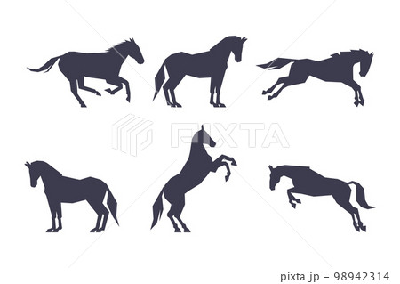 Black Silhouettes of Running Horses for Equestrian Sport Vector Set Black Silhouettes of Running Horses for Equestrian Sport Vector Set 98942314