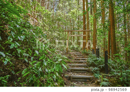 天の岩戸（三重県志摩市）風穴に続く参道 98942569