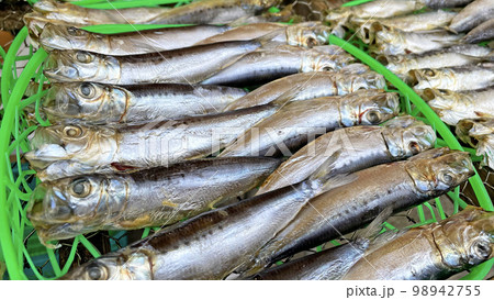 いわし 干物 沼津港 静岡県沼津市 魚市場 98942755
