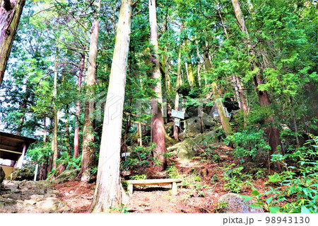 不動山の巨石 98943130