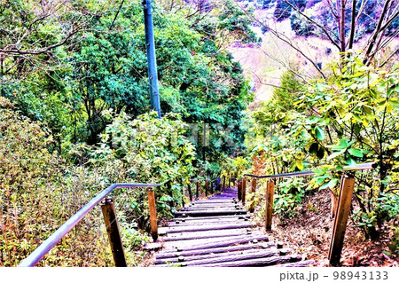不動山の巨石 98943133