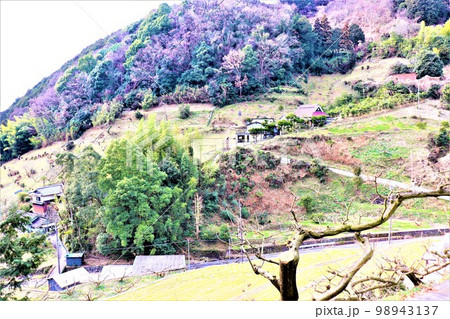 不動山の巨石 不動山の巨石 98943137