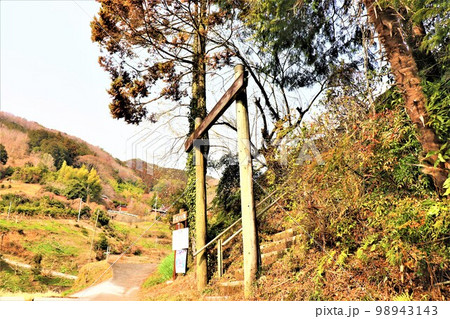 不動山の巨石 98943143