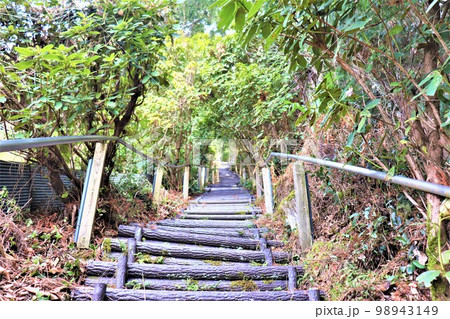 不動山の巨石 98943149