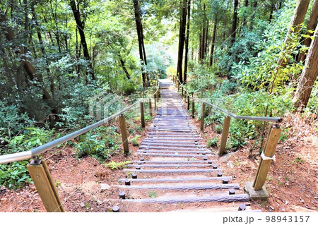 不動山の巨石 98943157