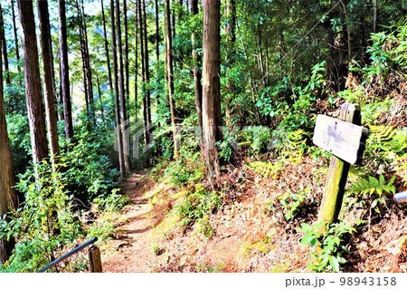 不動山の巨石 98943158