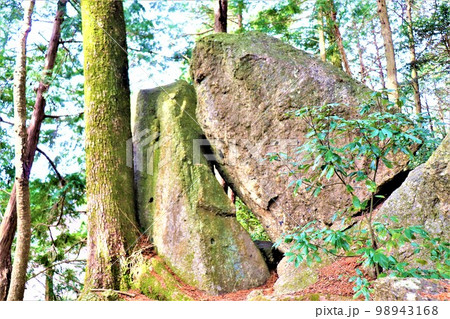 不動山の巨石 不動山の巨石 98943168