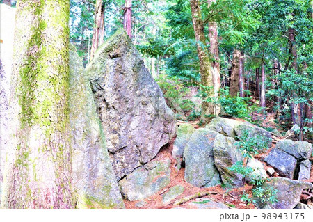 不動山の巨石 98943175