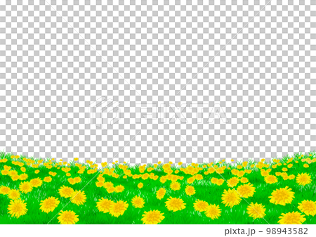 たんぽぽ畑の素材　 98943582