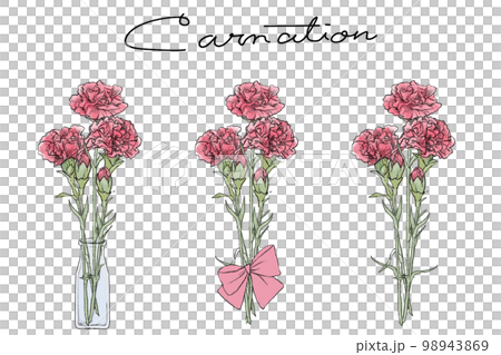 mother's day carnation bouquet illustration set 98943869