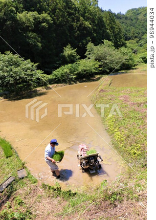 ゆずの里毛呂山町の山裾の棚田で田植えの準備をする高齢男性の風景 ゆずの里毛呂山町の山裾の棚田で田植えの準備をする高齢男性の風景 98944034