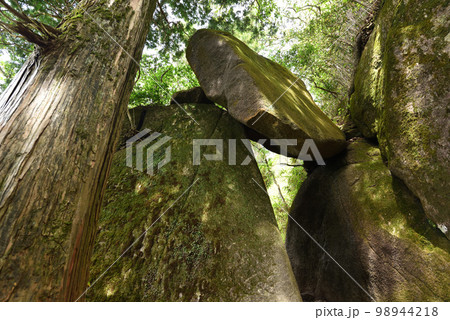 筑波山登山、茨城県 98944218
