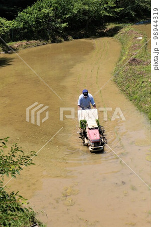 ゆずの里毛呂山町の山裾の棚田で田植えをする一人の高齢男性の風景 ゆずの里毛呂山町の山裾の棚田で田植えをする一人の高齢男性の風景 98944319