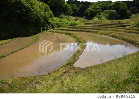 石畑の棚田、茂木、栃木県 石畑の棚田、茂木、栃木県 98945319