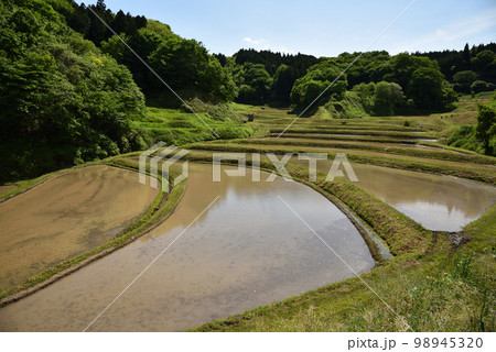 石畑の棚田、茂木、栃木県 石畑の棚田、茂木、栃木県 98945320
