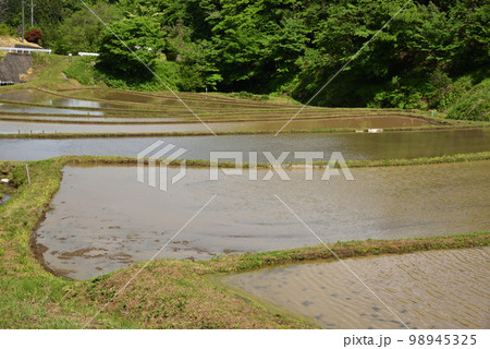 石畑の棚田、茂木、栃木県 98945325