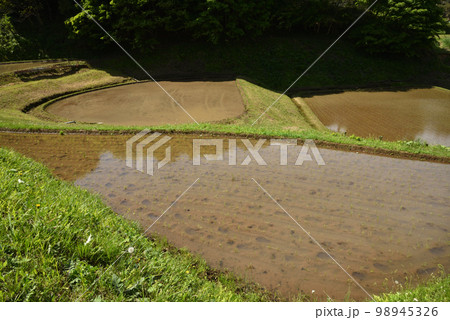 石畑の棚田、茂木、栃木県 石畑の棚田、茂木、栃木県 98945326
