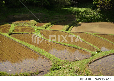 石畑の棚田、茂木、栃木県 石畑の棚田、茂木、栃木県 98945327