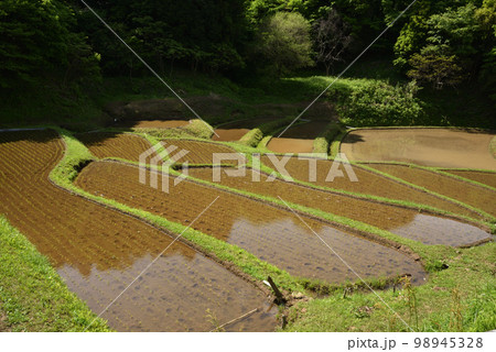 石畑の棚田、茂木、栃木県 石畑の棚田、茂木、栃木県 98945328