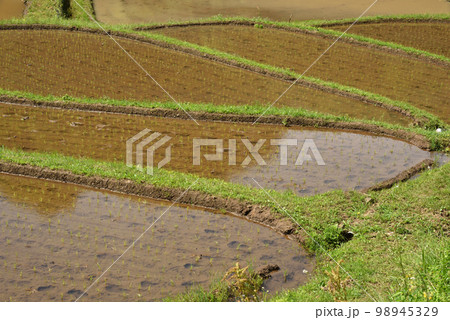 石畑の棚田、茂木、栃木県 石畑の棚田、茂木、栃木県 98945329
