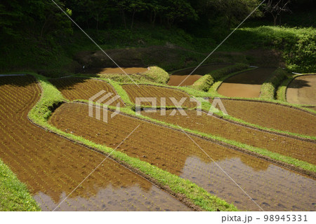 石畑の棚田、茂木、栃木県 石畑の棚田、茂木、栃木県 98945331