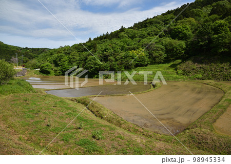 石畑の棚田、茂木、栃木県 石畑の棚田、茂木、栃木県 98945334