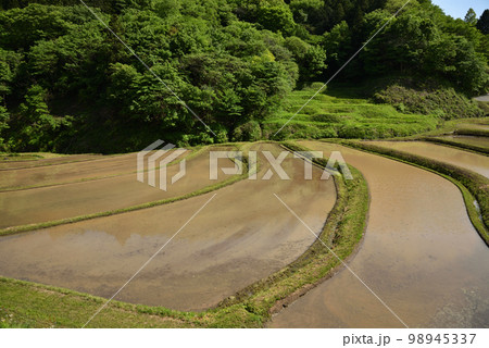 石畑の棚田、茂木、栃木県 石畑の棚田、茂木、栃木県 98945337