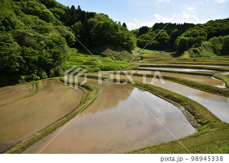石畑の棚田、茂木、栃木県 石畑の棚田、茂木、栃木県 98945338