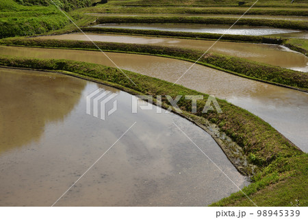 石畑の棚田、茂木、栃木県 石畑の棚田、茂木、栃木県 98945339