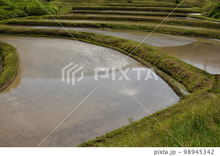 石畑の棚田、茂木、栃木県 石畑の棚田、茂木、栃木県 98945342