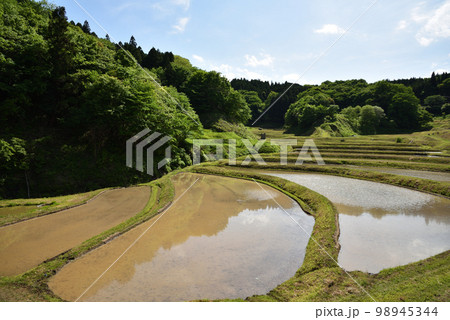 石畑の棚田、茂木、栃木県 石畑の棚田、茂木、栃木県 98945344