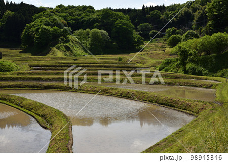 石畑の棚田、茂木、栃木県 石畑の棚田、茂木、栃木県 98945346