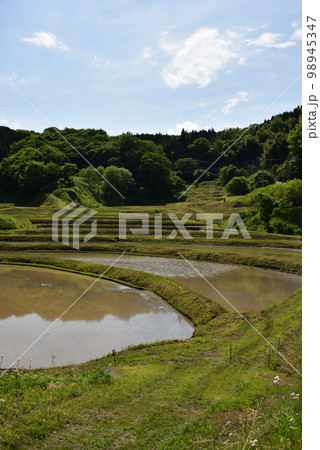 石畑の棚田、茂木、栃木県 石畑の棚田、茂木、栃木県 98945347