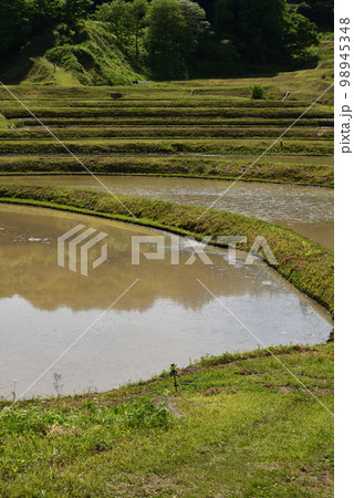 石畑の棚田、茂木、栃木県 石畑の棚田、茂木、栃木県 98945348