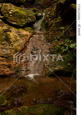 五台山より 98945611